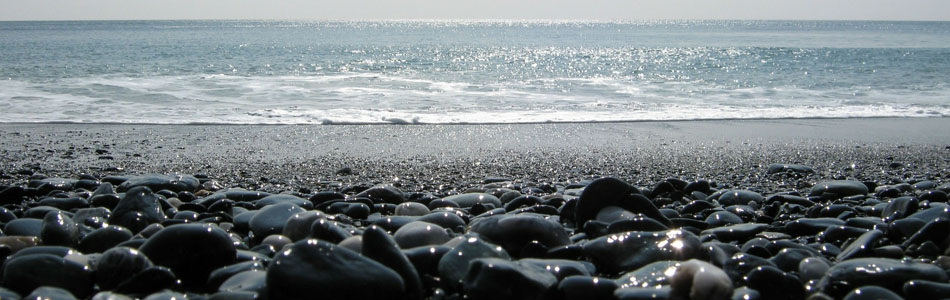 免费ddos在线攻击